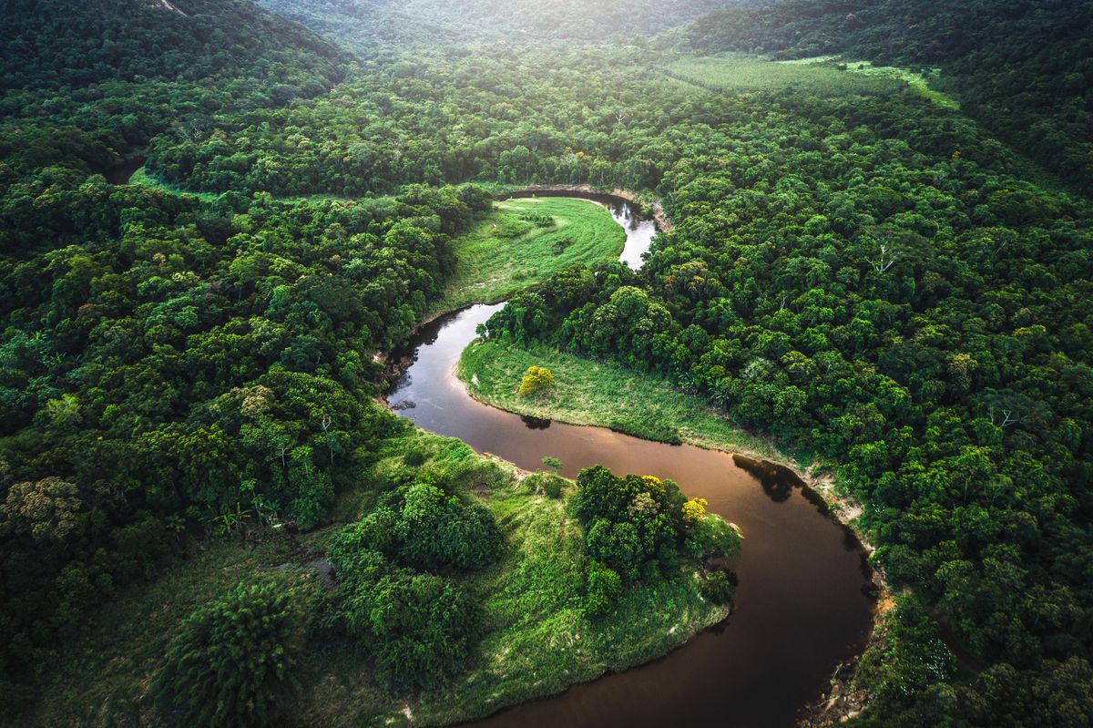 Amazon Rainforest in Brazil