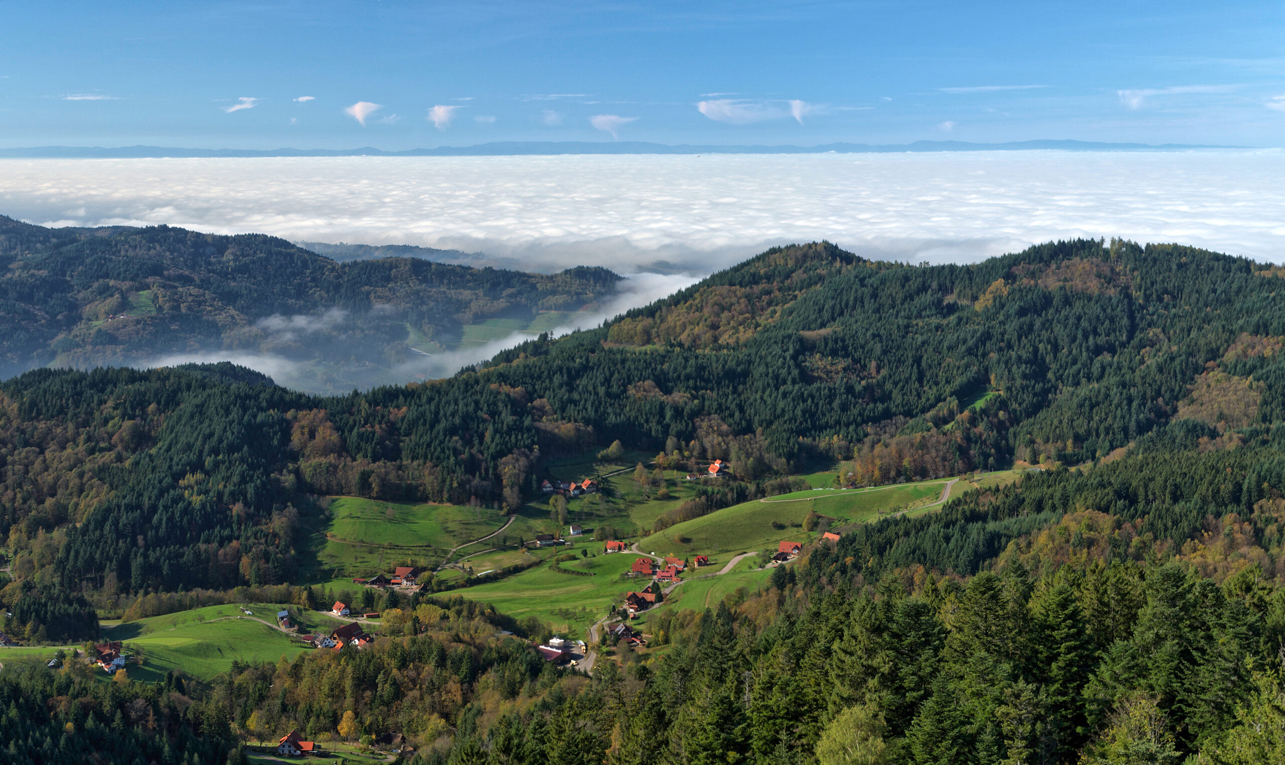 The Black Forest in Germany