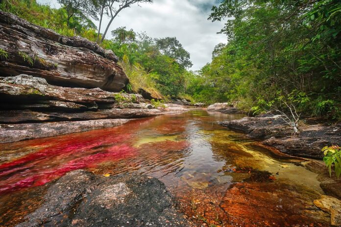 Beautiful Caño Cristales