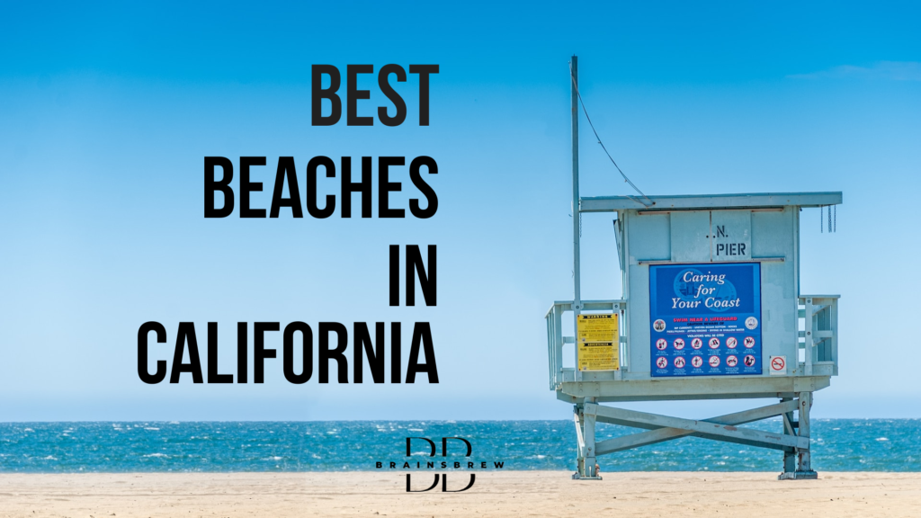 Best Beaches In California