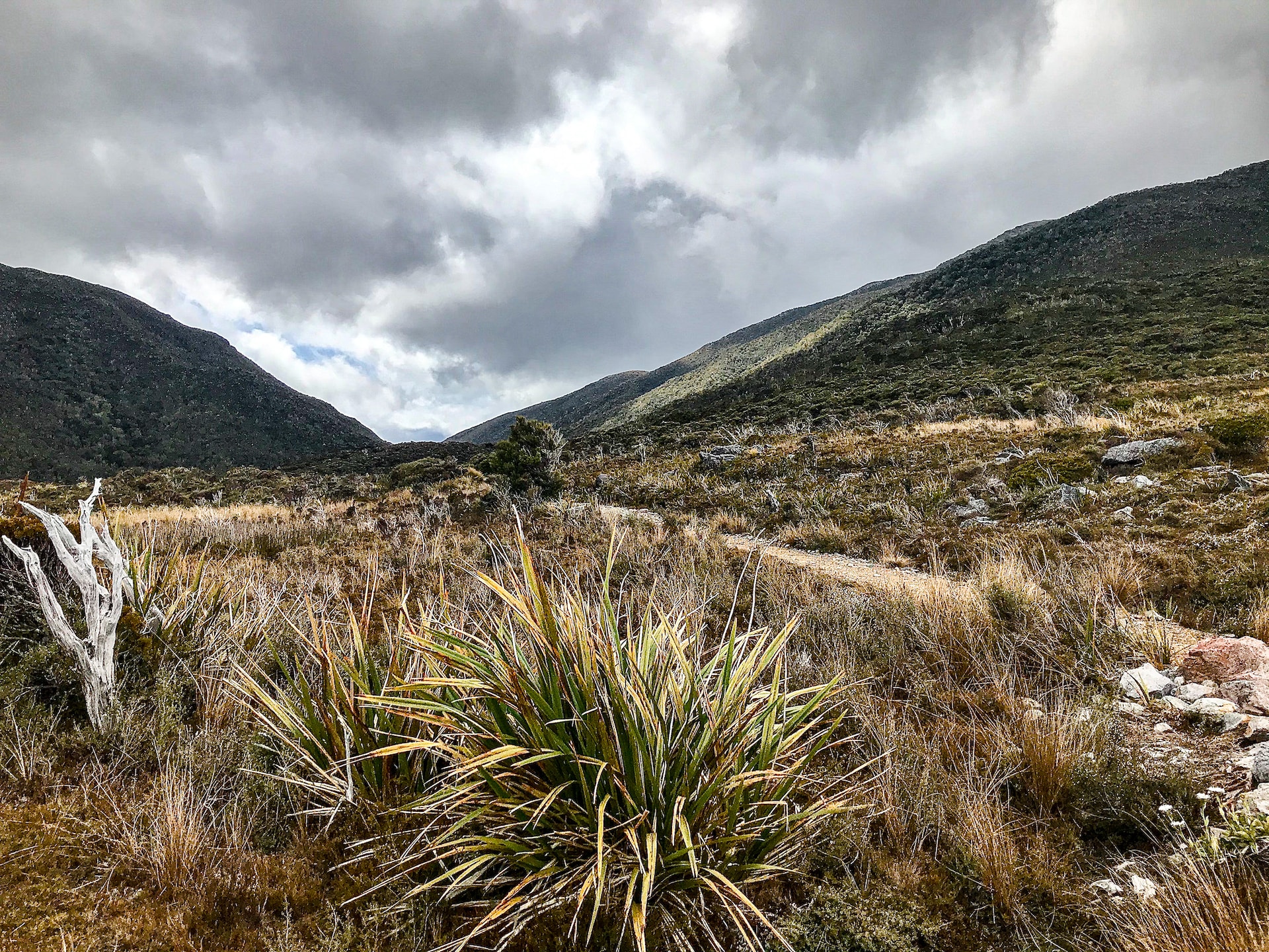 Kahurangi National Park