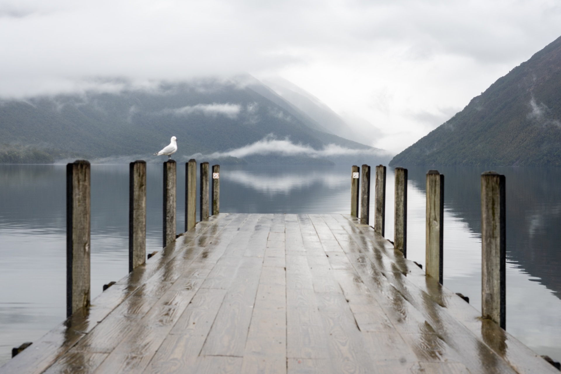 Nelson Lakes National Park