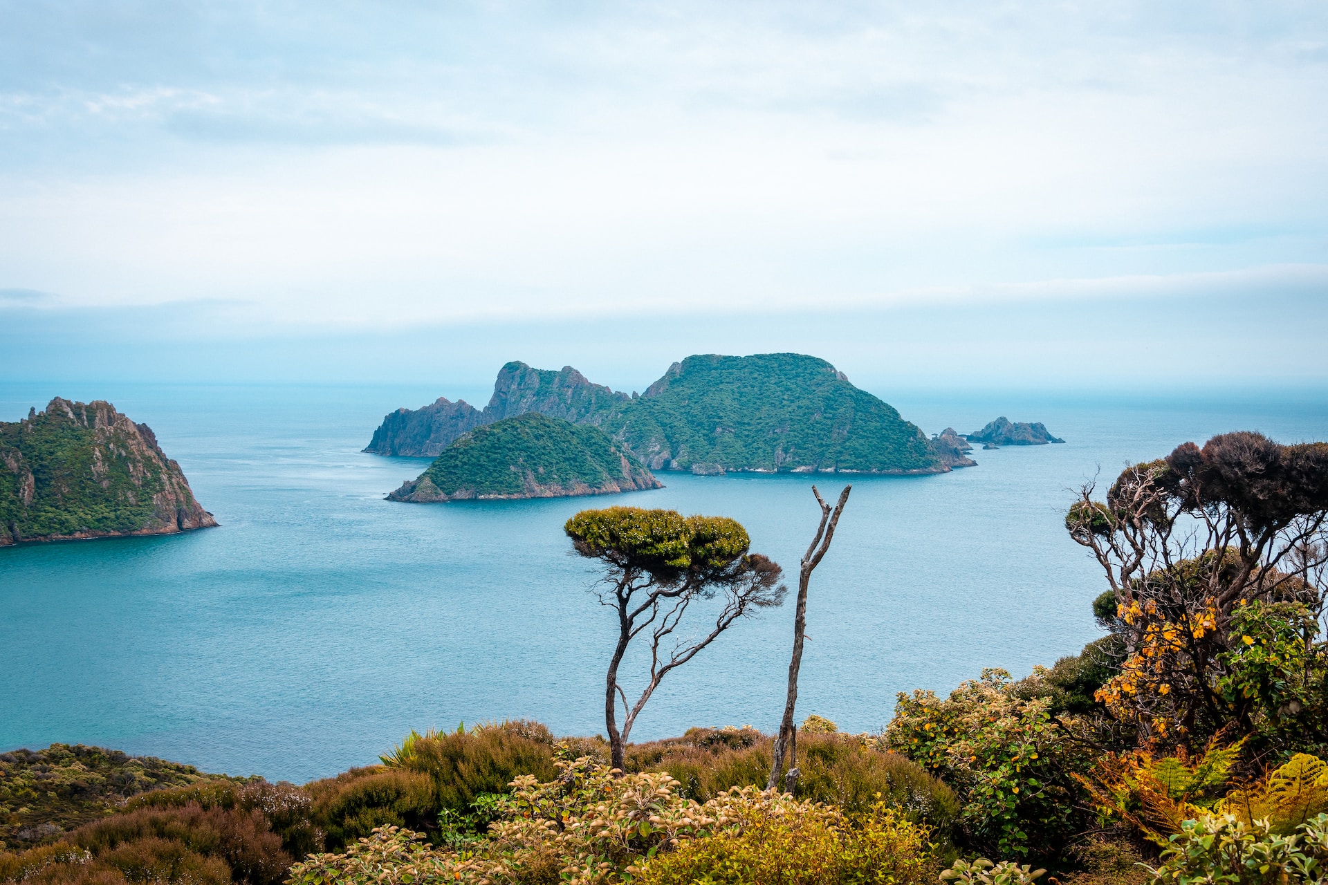 Paparoa National Park