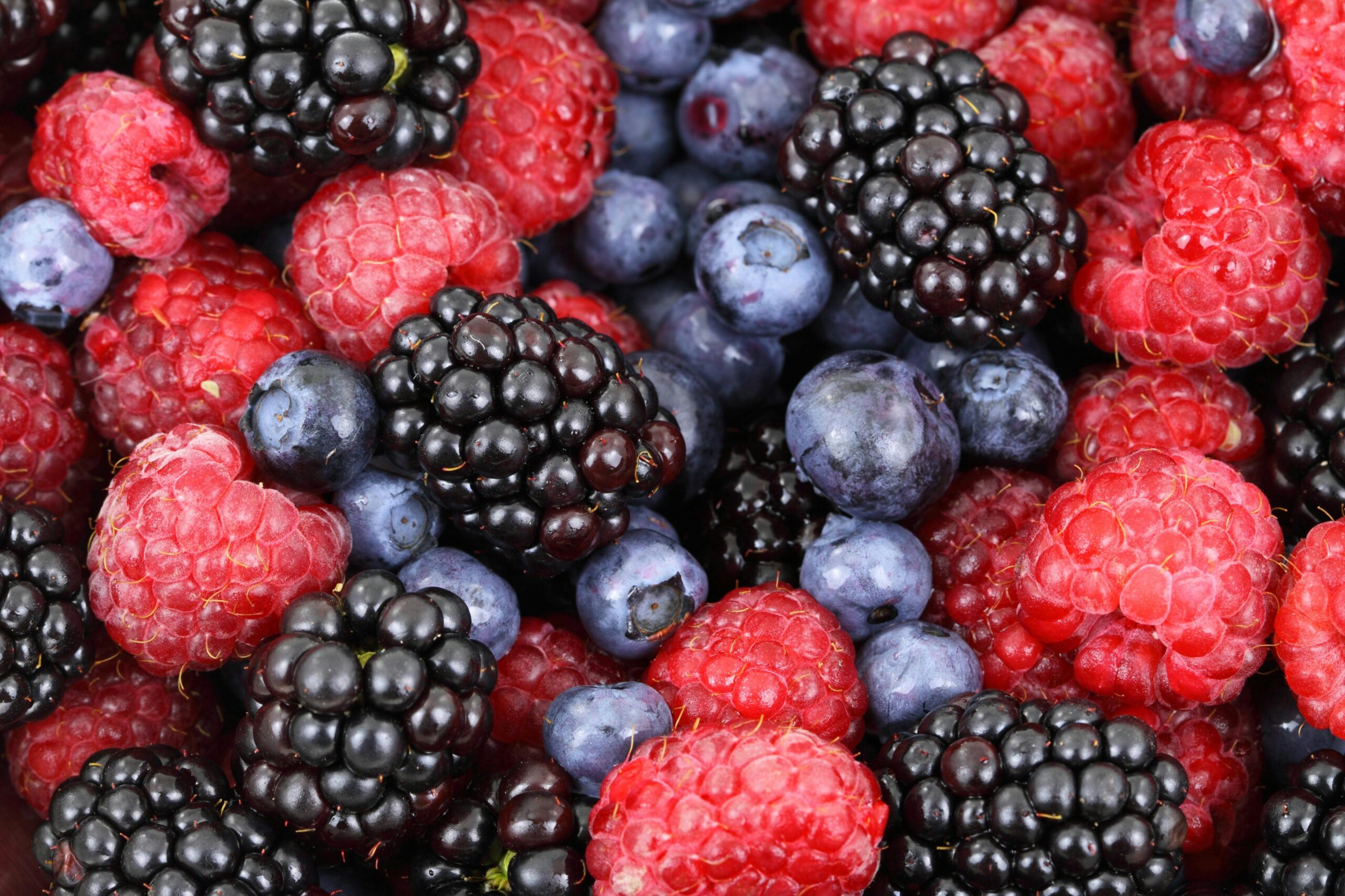berries 
