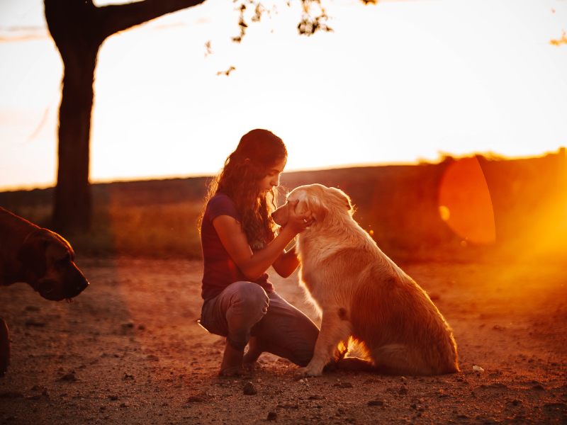 playing with pets
