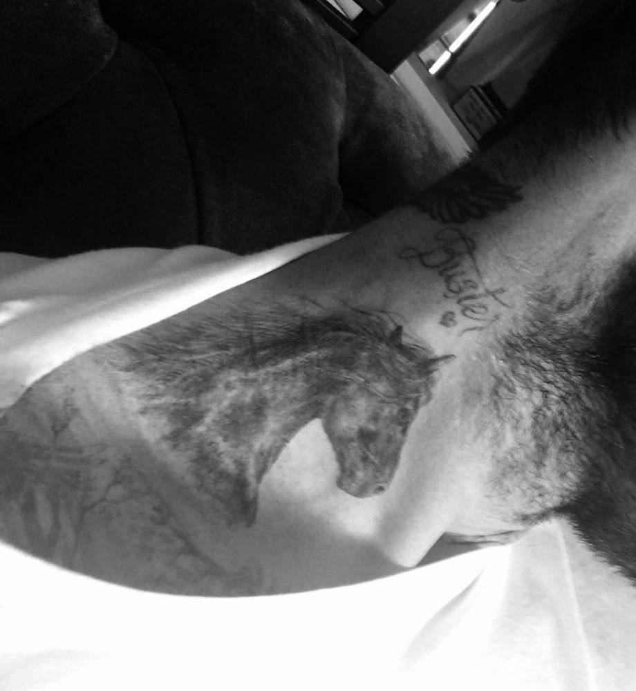 David-Beckham_s-Horse-Tattoo
