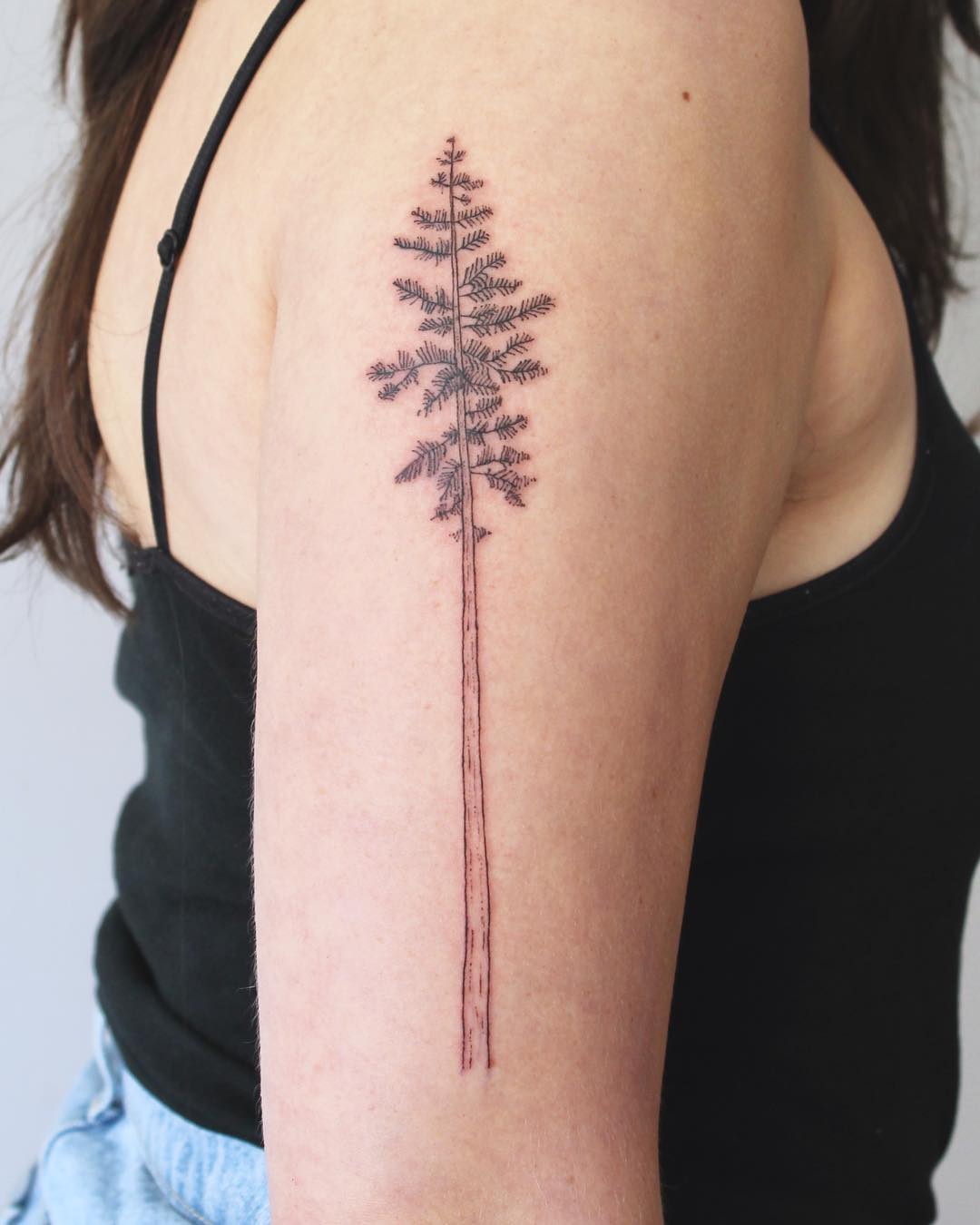 Tree_Pine_Tattoo